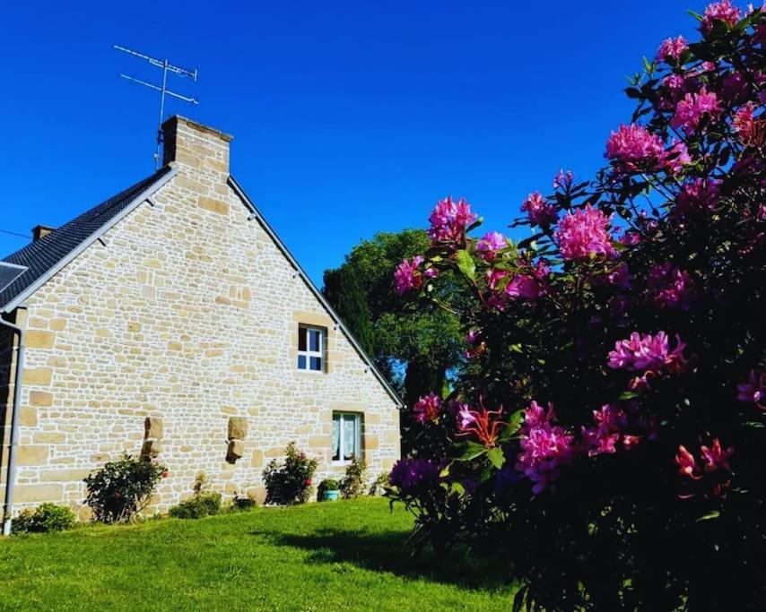 Maison En Pierre Au Milieu Du Bocage Coulouvray-Boisbenatre Экстерьер фото